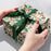 Gift Wrap -  Festive Folk - Recycled Fiber