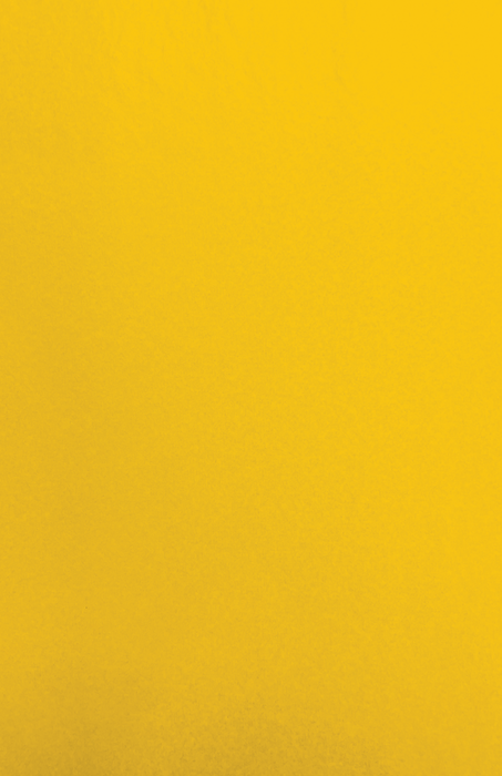 Gift Wrap - CP-04 - Capistrano Lemon