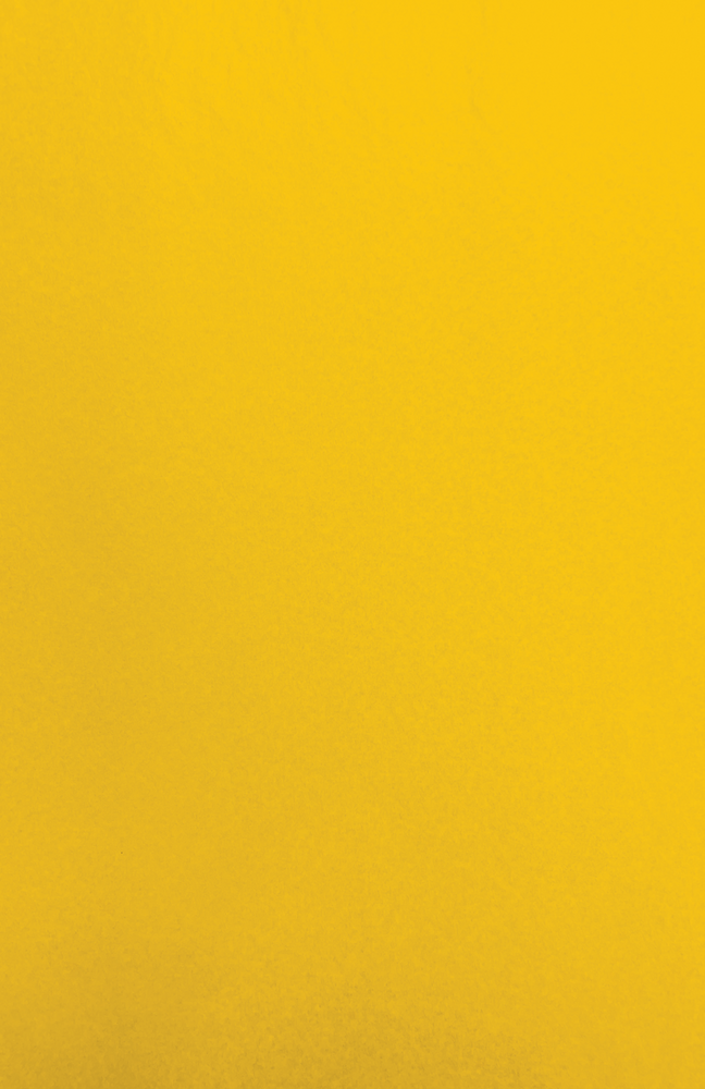 Gift Wrap - CP-04 - Capistrano Lemon