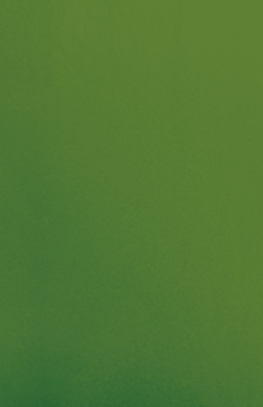 Gift Wrap - CP-17 - Capistrano Christmas Green