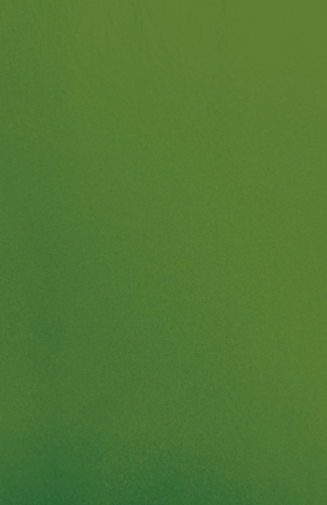 Gift Wrap - CP-17 - Capistrano Christmas Green