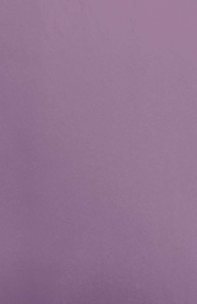 Gift Wrap - CP-31 Capistrano Purple