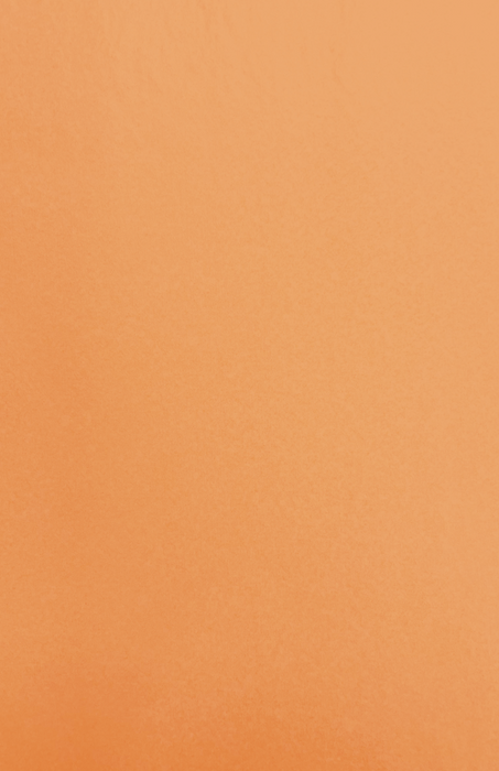 Gift Wrap - CP-68 Capistrano Sepia