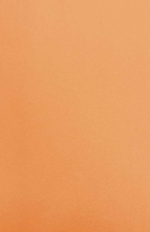 Gift Wrap - CP-68 Capistrano Sepia