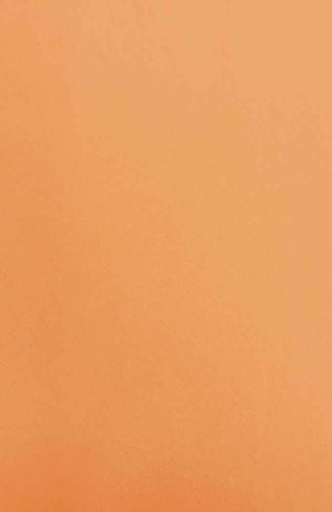 Gift Wrap - CP-68 Capistrano Sepia
