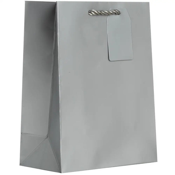 Euro Totes Solid Matte - Medium - Silver / 6 count - MT914