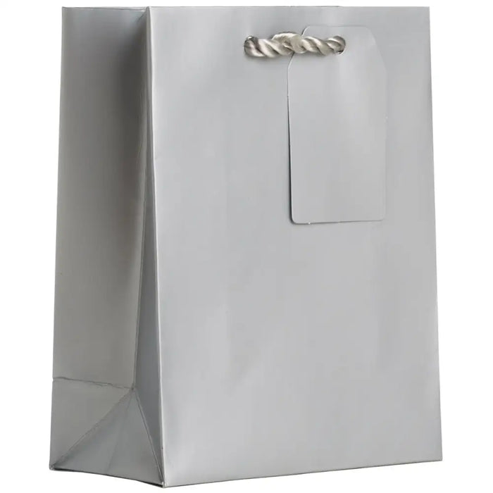 Euro Totes Solid Matte - Small - Silver / 6 count - ST914