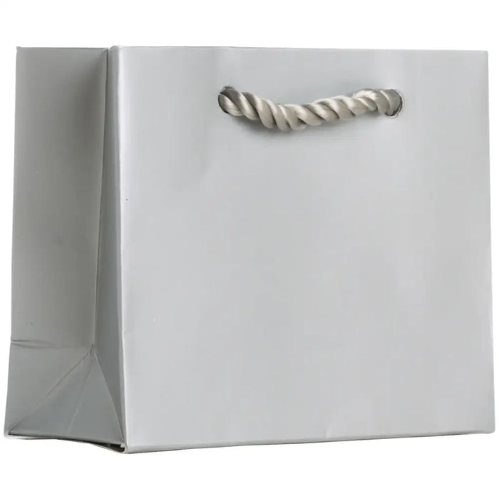 Euro Totes Solid Matte - Tiny - Silver / 6 count