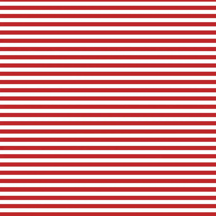 Gift Wrap - Red & White Stripe - Recycled Fiber - Jewelry