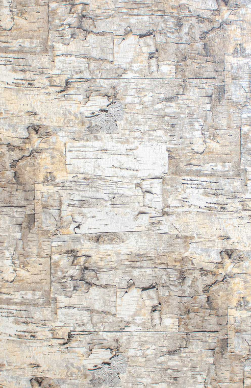 Gift Wrap - GW-8146 Paper Birch
