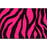 Neon Zebra Grosgrain Ribbon - Single Roll / 3/8’’ x 20