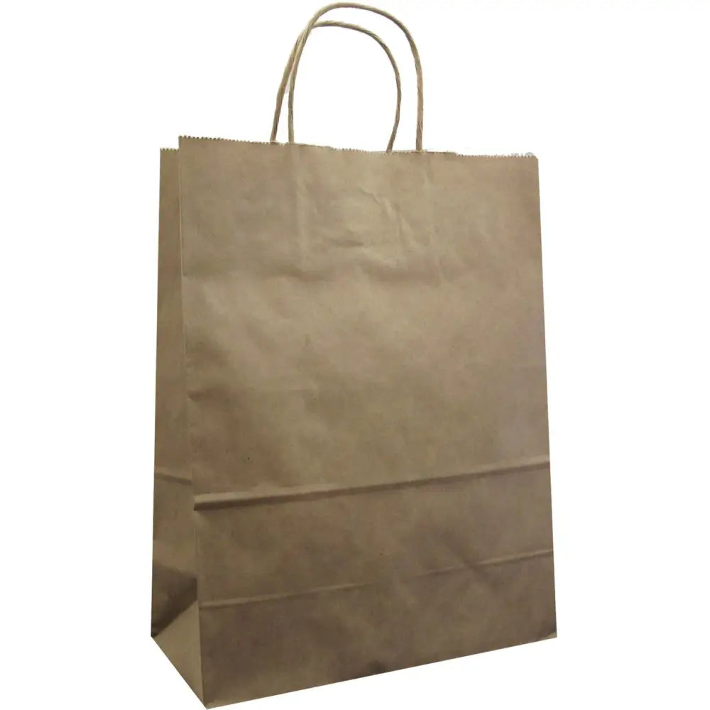 Paper Handle Kraft Bags - Large - Natural / 6 count - LK918