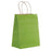 Paper Handle Kraft Bags - Medium - Lime / 6 count - MK941
