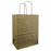 Paper Handle Kraft Bags - Medium - Metallic Gold (no shadow