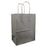 Paper Handle Kraft Bags - Medium - Metallic Silver (no