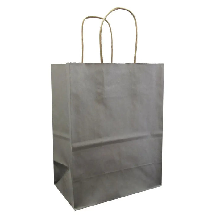 Paper Handle Kraft Bags - Medium - Metallic Silver (no