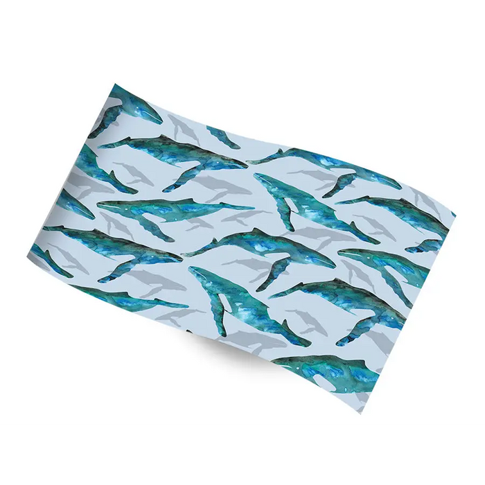 Printed Tissue Paper - Whale Watch - RC-1243