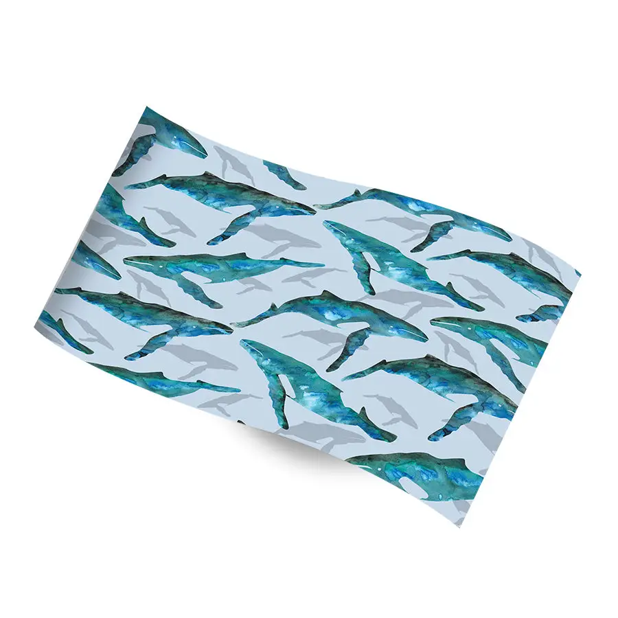 Printed Tissue Paper - Whale Watch - RC-1243