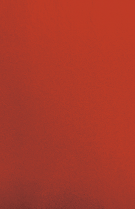 Gift Wrap - SCK-02 Red SC Kraft