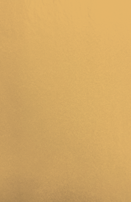Gift Wrap - TT-10 Tan MG