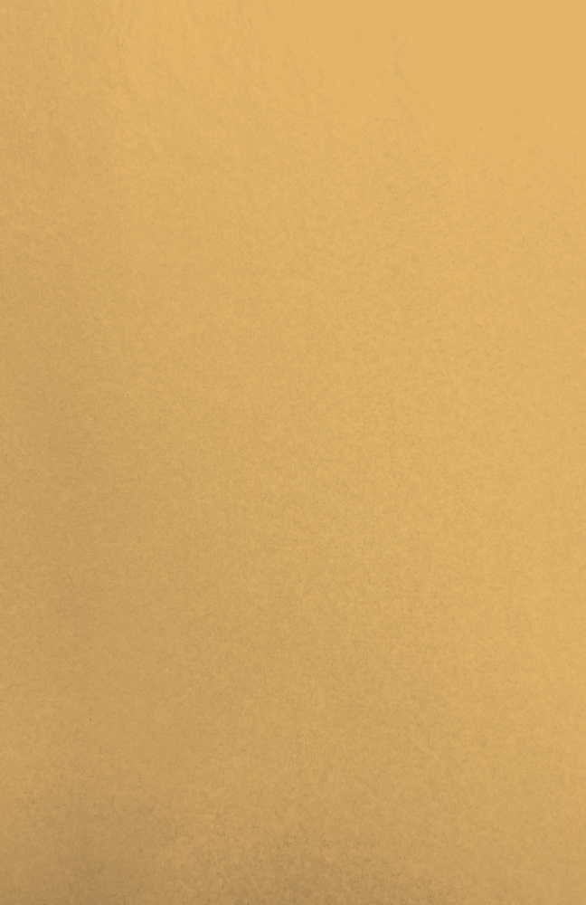Gift Wrap - TT-10 Tan MG