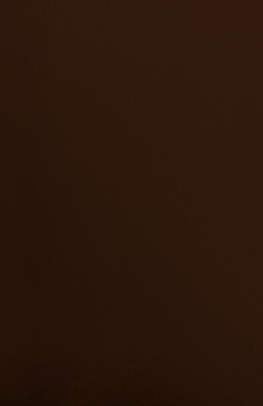 Gift Wrap - TT-11 Chocolate MG