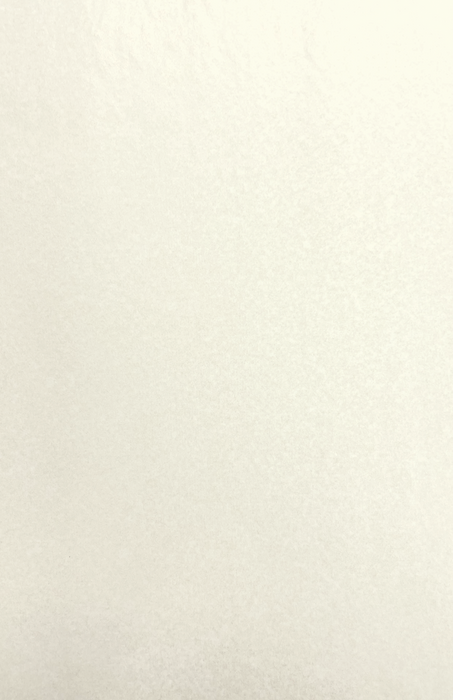 Gift Wrap - TT-20 White MG