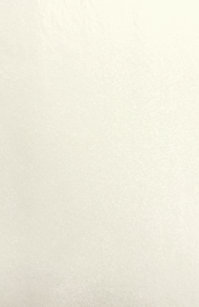 Gift Wrap - TT-20 White MG