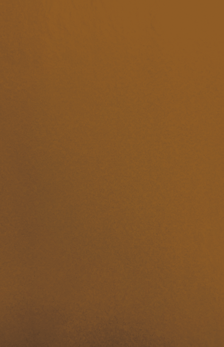 Gift Wrap - TT-23 - Brown MG