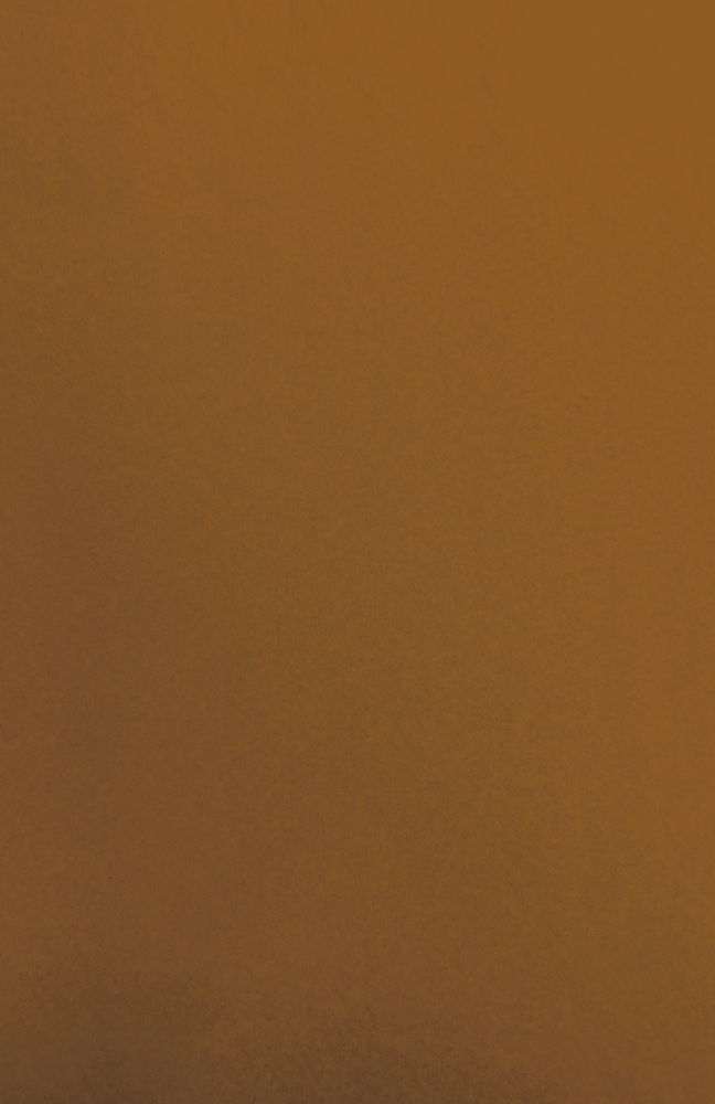 Gift Wrap - TT-23 - Brown MG