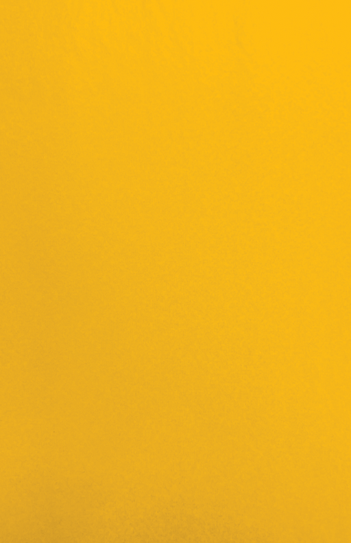 Gift Wrap - TT-4 - Canary MG