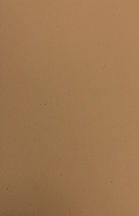 Gift Wrap - TT-55 Pilgrim Kraft
