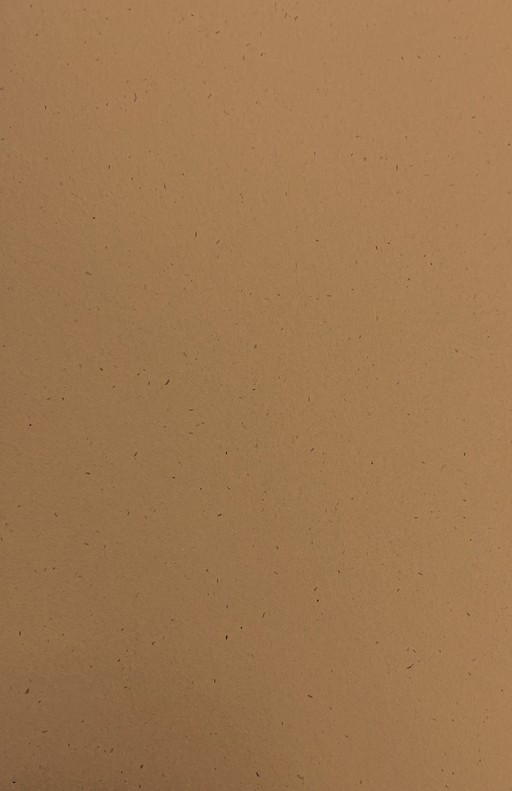 Gift Wrap - TT-55 Pilgrim Kraft