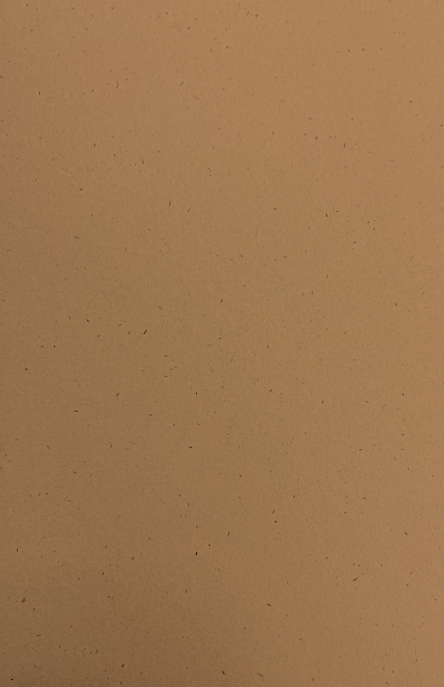 Gift Wrap - TT-55 Pilgrim Kraft