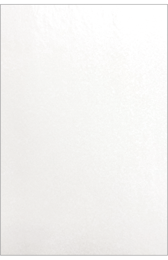 Gift Wrap - TT-58 - Bright White