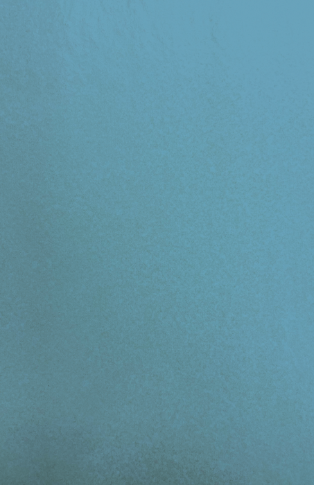 Gift Wrap - TT-617 - Blue Text