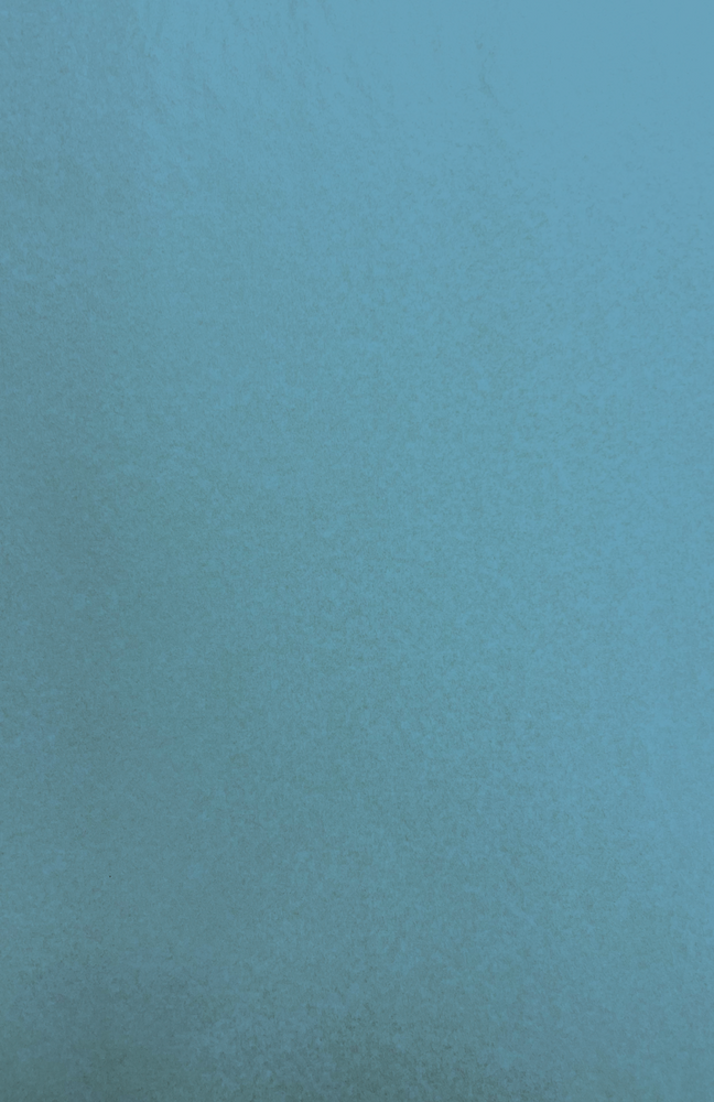 Gift Wrap - TT-617 - Blue Text