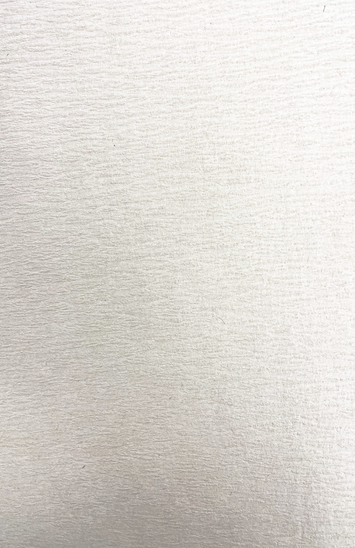 Gift Wrap - TT-72 White Crepe