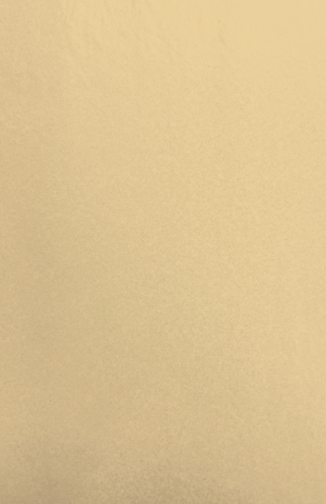 Gift Wrap - TT-8 Gray MG