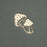 Wholesale Limited Edition B5: Mushrooms - WSB5102