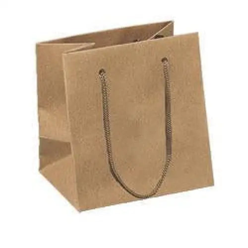 Euro Bags with Paper Handles - 6-1/2 x 3-1/2 x 6-1/2 / White