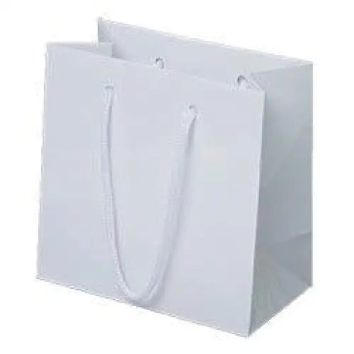 Euro Bags with Paper Handles - 6-1/2 x 3-1/2 x 6-1/2 / 