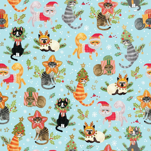 Gift Wrap - Naughty Cats (Recycled Fiber) - XB501.24.208