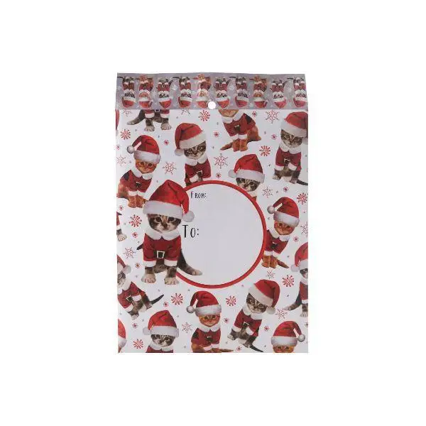 Mailing Envelope - Kitty Christmas - Mac Paper Supply