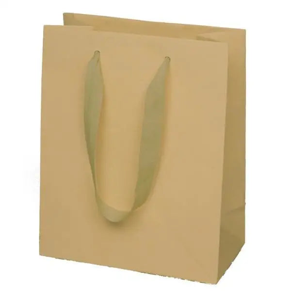 Manhattan Bags with Twill Handles - Mac Paper Supply